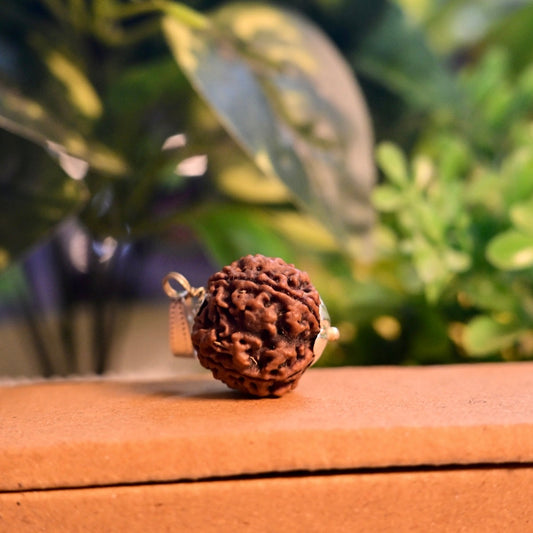 🌿 Rudraksha: The Sacred Bead of Shiva