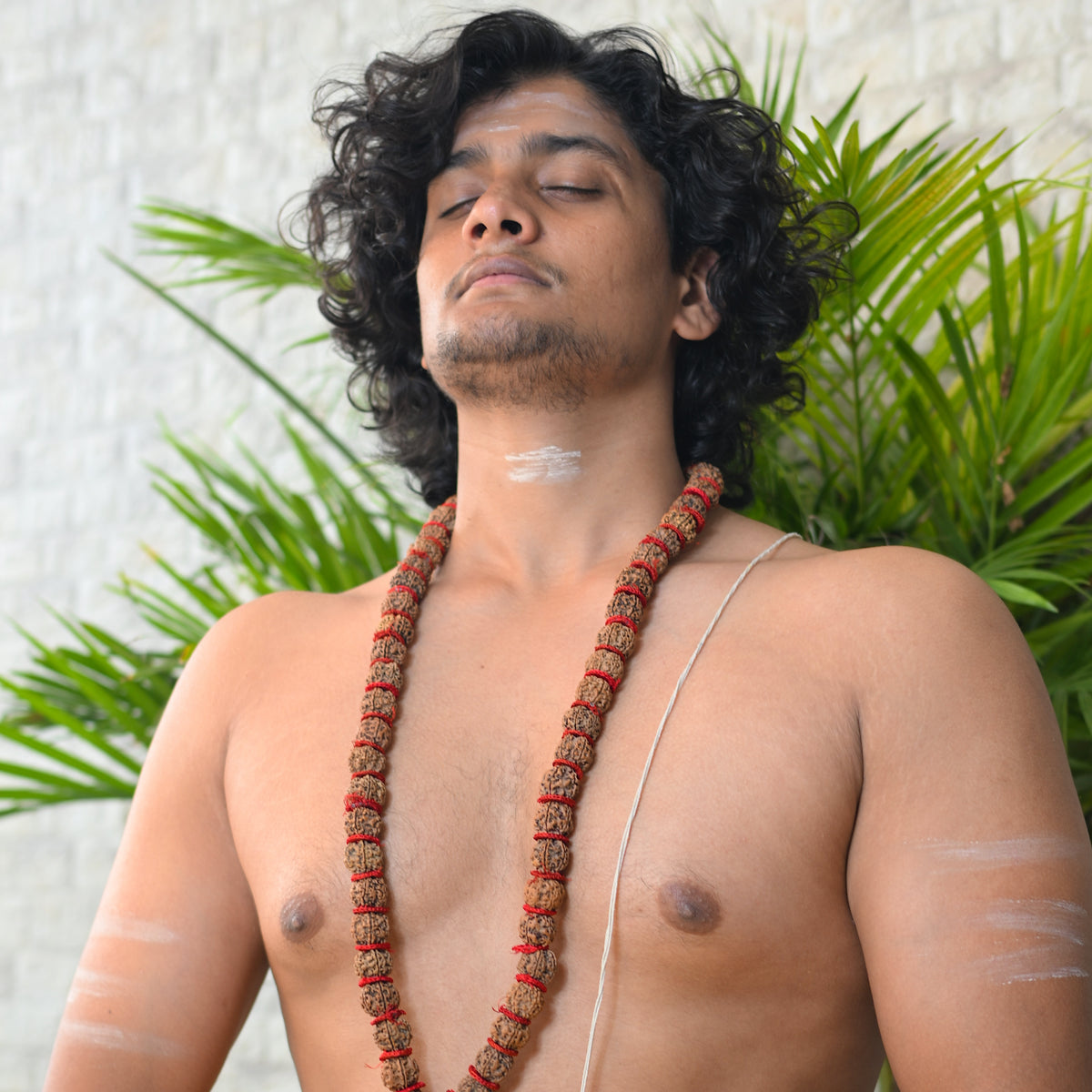 5 Mukhi Energised Rudraksh Mala