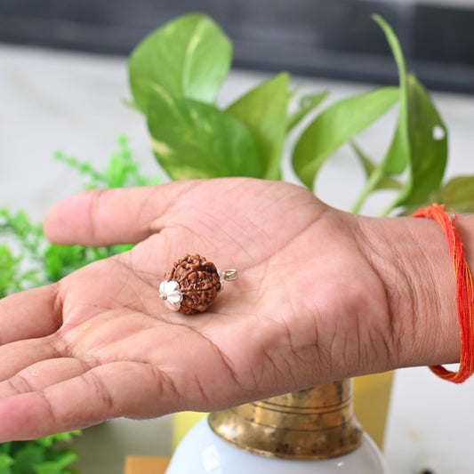 7 Mukhi Rudraksh