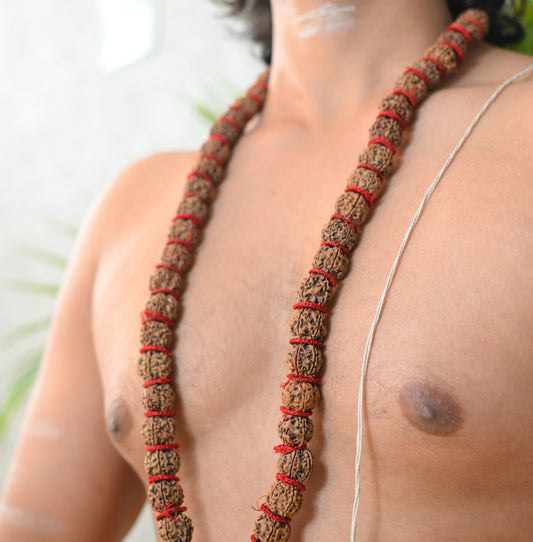 5 Mukhi Energised Rudraksh Mala