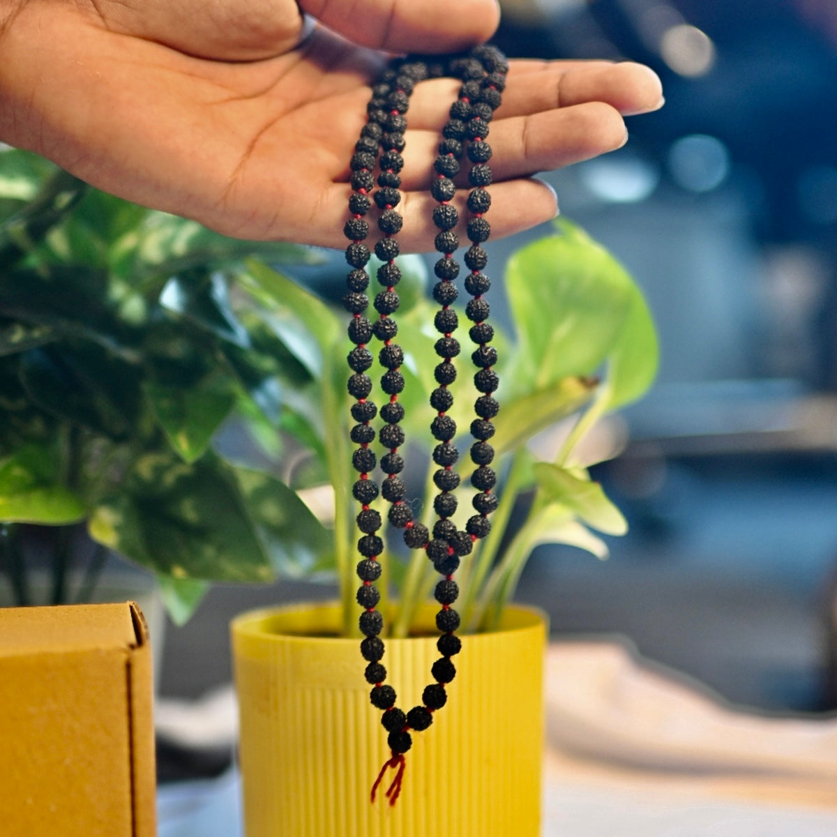 Energised Rudraksh Mala for prosperity.