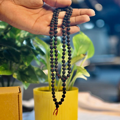 Energised Rudraksh Mala for prosperity.