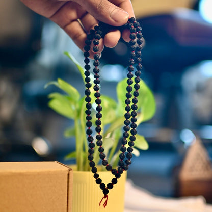 Energised Rudraksh Mala for prosperity.