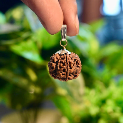 5 Mukhi Abhimantrit Rudraksh