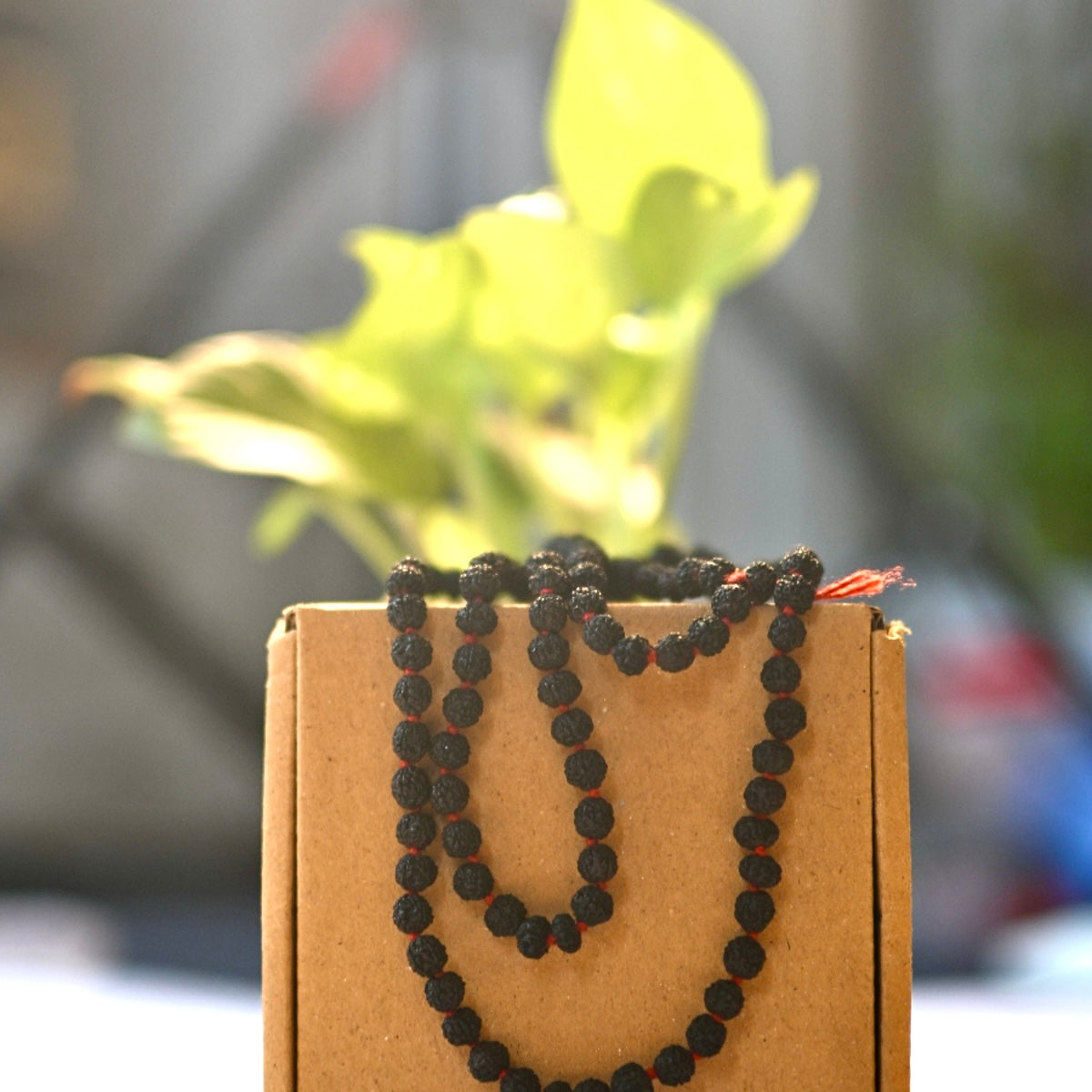 Energised Rudraksh Mala for prosperity.