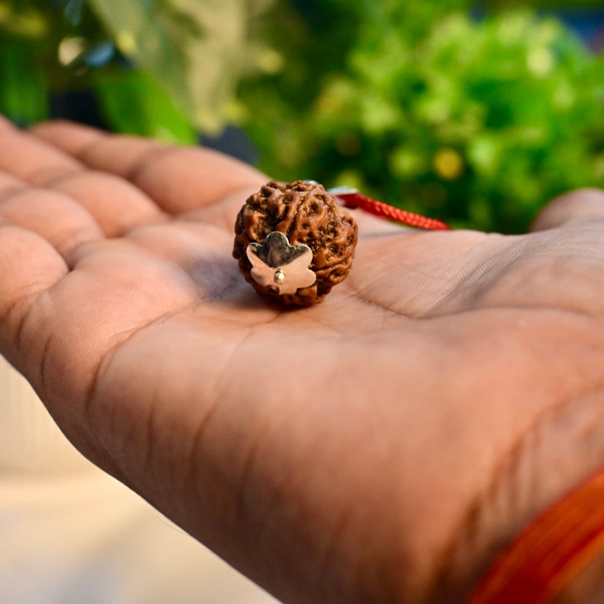 5 Mukhi Abhimantrit Rudraksh
